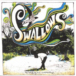 The Beauty of Our Surroundings