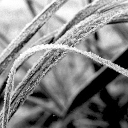 Echoes of Steel Live