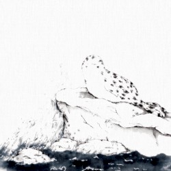 the closer i get to embracing what we could be, the clearer it becomes that you will eventually let go