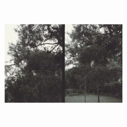 just like any other day (어느날): background music for your mundane activities