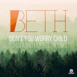 Don't You Worry Child (Remixes)