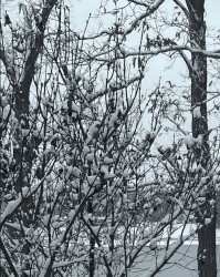 it's cold