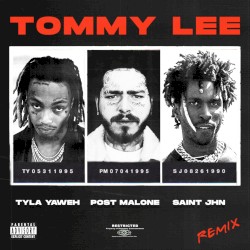 Tommy Lee (remix)