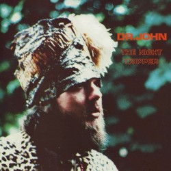 The Night Tripper