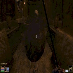 Playing the Elder Scrolls III: Morrowind (Orethi Ancestral Tomb)