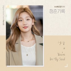 Record of Youth (Original Television Soundtrack), Pt. 2
