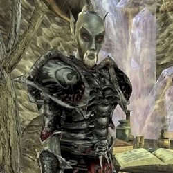 №42: describing their actions, sacrifice and devotion to the game’s protagonist