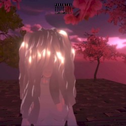 Pimp Lvmpo