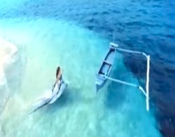 Future Lounge Vol. V