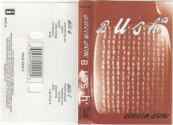 Sixteen Stone