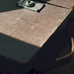 A Love Theme for the Wilderness