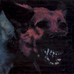 Under Color of Official Right