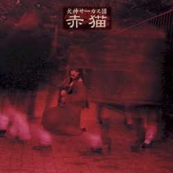赤猫
