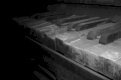 The Drowning Diaries