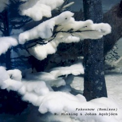 Fakesnow (Remixes)