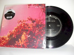 Lift Weights / Don Juan