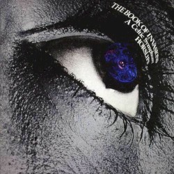 The Book of Invasions: A Celtic Symphony