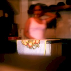 Meditation Upon Meditations: The Japanese Diaries