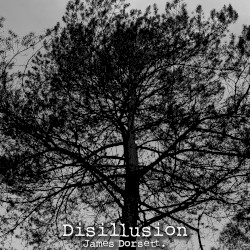 Disillusion