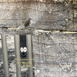 The Legendary Pink Dots’ Christmas Special 2020