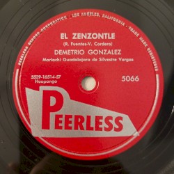 El zenzontle / Tierra que ando pisando