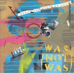 Spy in the House of Love