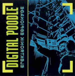 Elektronik Espionage