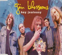 Hey Jealousy