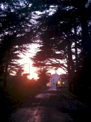 Music From The Headlands Center For The Arts, Volume Three - Wild River