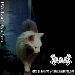 I Was Lost in Your Arms