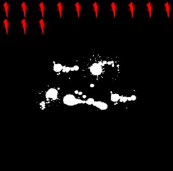 013