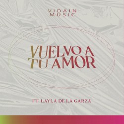 Vuelvo a tu amor