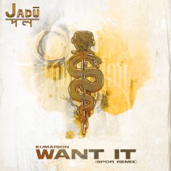 Want It (Spor remix)