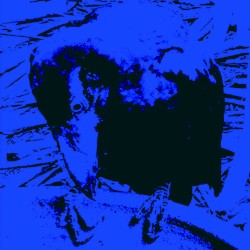 Indigo Dada