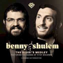 The Rebbi's Medley (The Songs of Yitzy Waldner)
