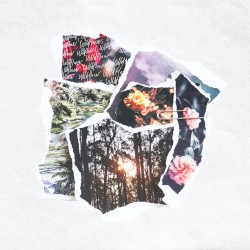 Wildflower