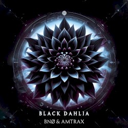 Black Dahlia