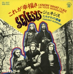 I Know What I Like (In Your Wardrobe)