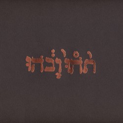 Slow Riot for New Zero Kanada