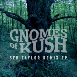 Seb Taylor Remix EP