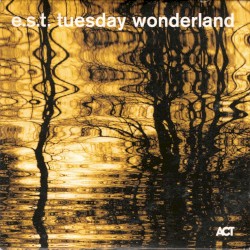 Tuesday Wonderland