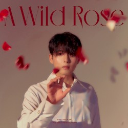 A Wild Rose