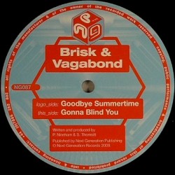 Goodbye Summertime / Gonna Blind You