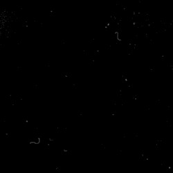 straight through the heart