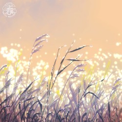 Sundew