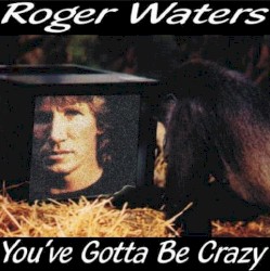 1999‐08‐17: You’ve Gotta Be Crazy