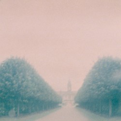 The Lion's Tooth Blows Across the Promenade