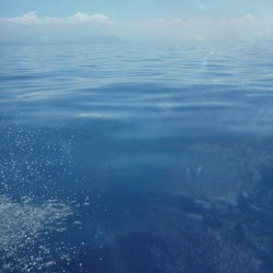 Blue Abundant Cities