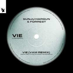 Vie (VAM Remix)