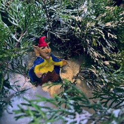 The Sceret Lives of Elves in Winter